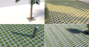 Tree Gratings